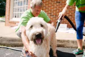 Pet-friendly apartments in Charlottesville