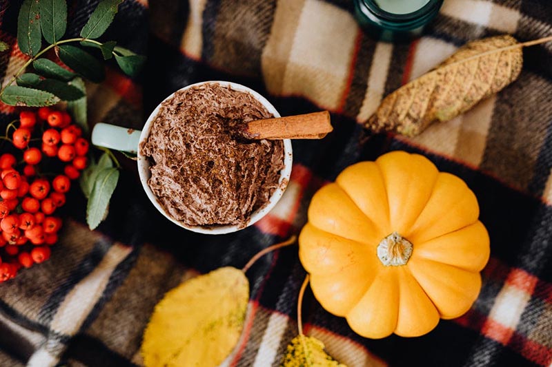 8 Pumpkin Smoothies to make in your Charlottesville Apartment