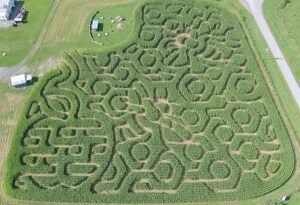 Virginia Corn Mazes and Pumpkin Patches