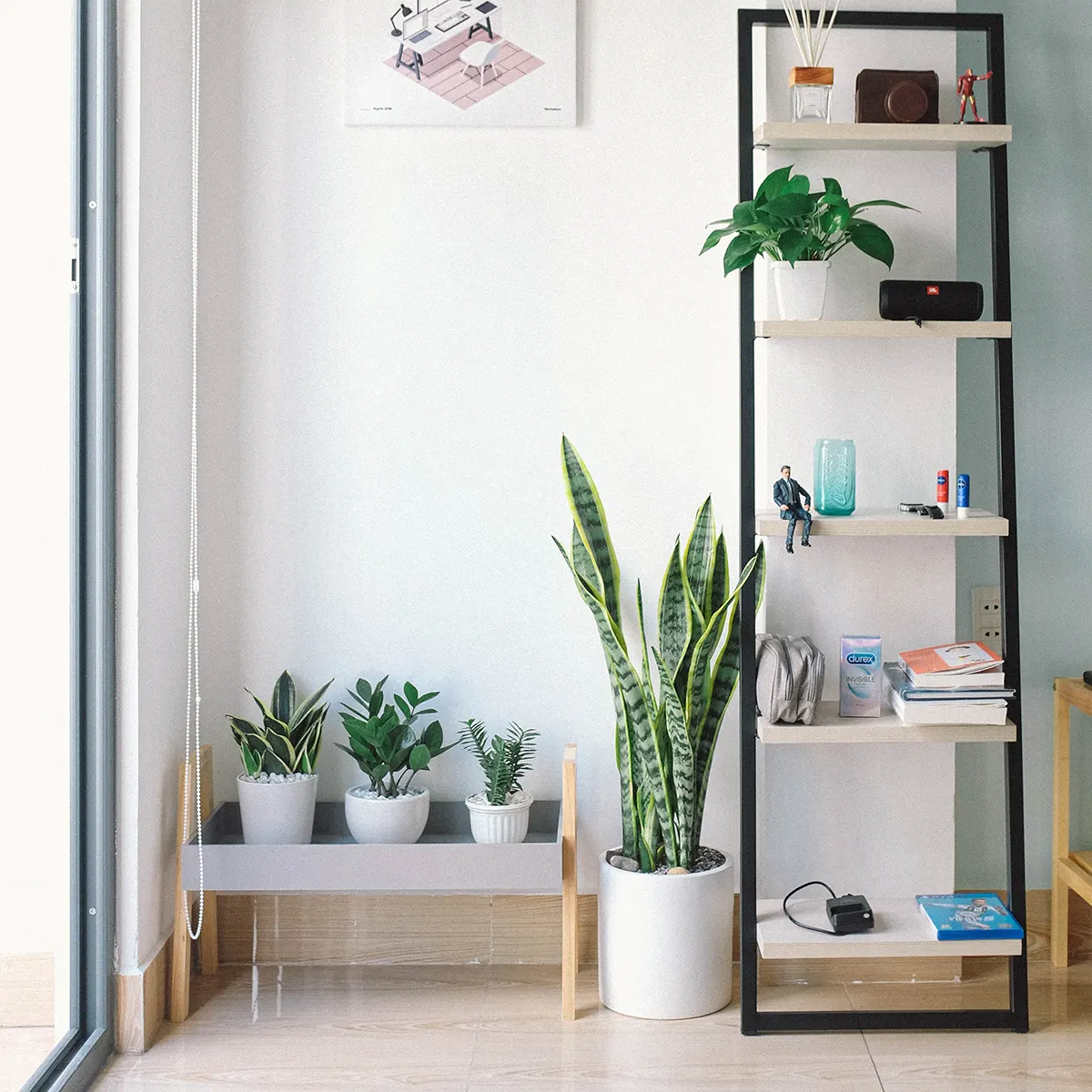 Sustainable Apartment Living: Tips for a Greener Lifestyle
