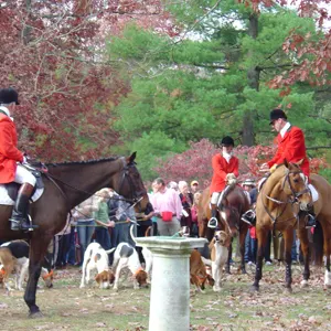 The Blessing of the Hounds at the Keswick Hunt