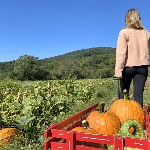 Chiles Orchard Fall Into Fun Festival near Charlottesville VA
