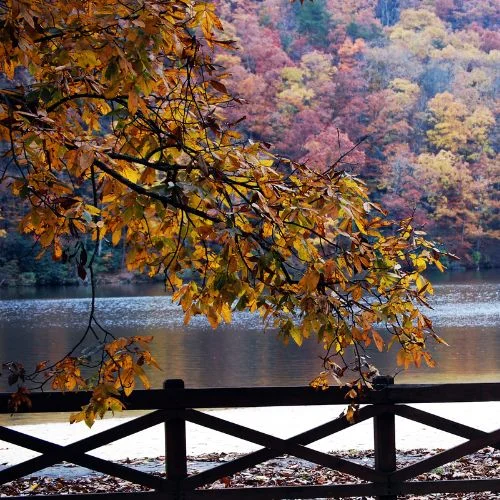 Hungry Mother State Park Virginia