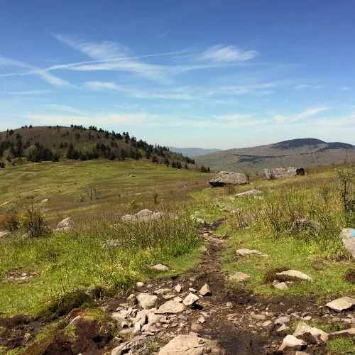 Mount Rogers via Appalachian Trail