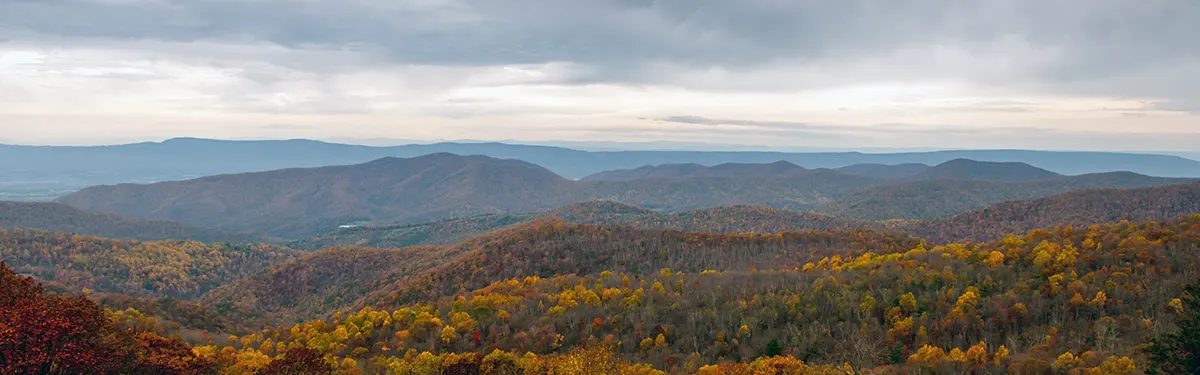 7 Best Wine-Country Towns In Virginia